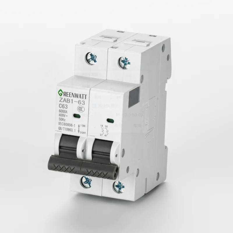 Interruttore automatico miniaturizzato 2P 500 V 63 A CC